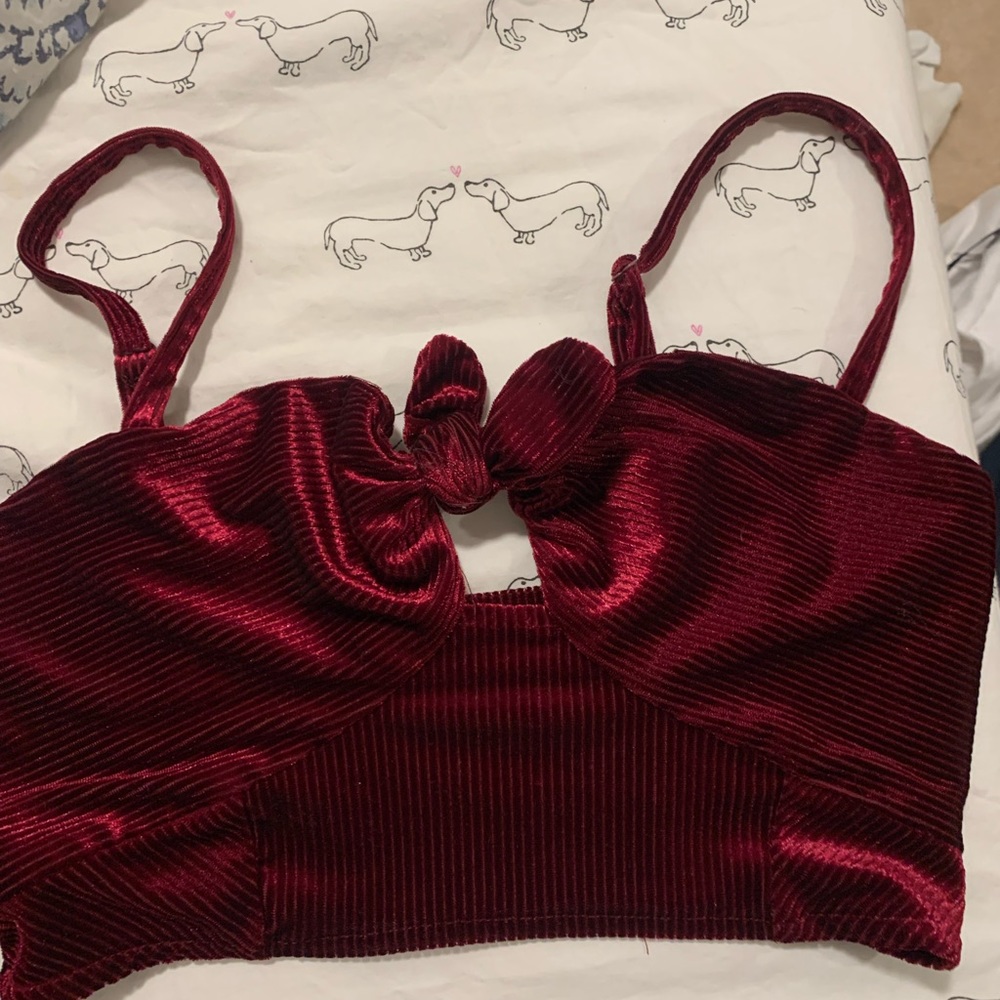 Free people believed knot crop top
